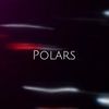 polars_capcut