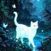 night.kitty6