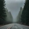 mikepndub7