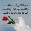 yardeuser50967315933