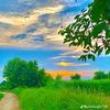 hassn.ali5655