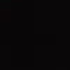 chip_09032