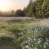 ft__042