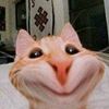 bilal__288