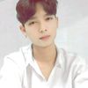 paing.lay6436