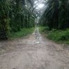 kulaa_002