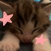 milly.613