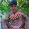 aung.lay24898