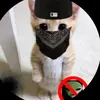 agent_vytis