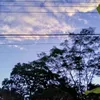 yarelisrosales5