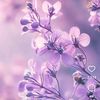 rahma_yanuar85