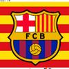 barca_alex_martinez