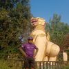 aung.min4520