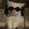 user8146010113022
