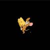 user7775462186615