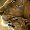 jacfar.abdirihmn