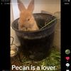 furrysanctuary1111