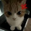 erenzzz_08