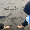 strictlyinfj