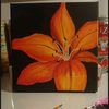 aliis096764