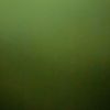 alfredo.mejia781