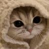 sara_thebaddie_cat
