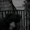 hakusiucaptoi11