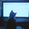 magicbook_m1m0za