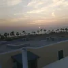 alyshamain1