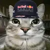 patatasfritassigmas