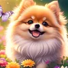 loki.hommy