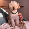 its_veritybiatches