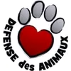 👑DrPawSitive2👑