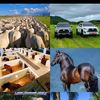 josemonge4382
