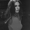 bb_ldr14
