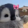 jojo_oliverr