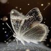 beautifulbutterflyme