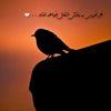 user1241396183104