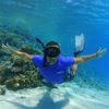sayedredsea7