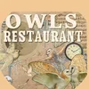 rique_owl