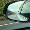 molly_7714
