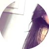 shmss.s5
