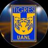 noticiasclubtigres