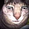meow4523