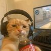 ggg906609