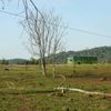 elcanhadense