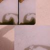 shahdshahd56