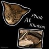 phuk.at.khubon