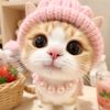 kittenie.mwa1