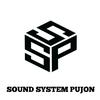 SOUND SYSTEM PUJON